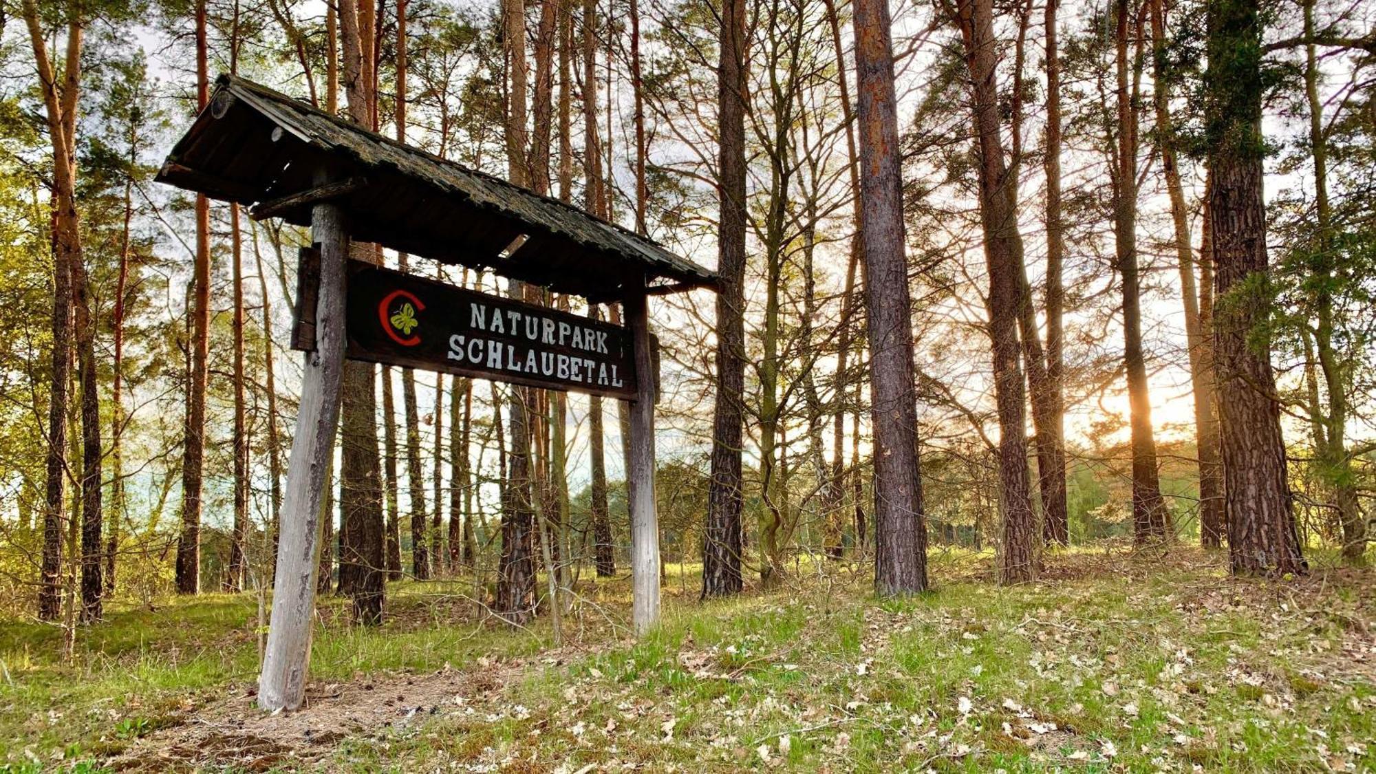 Naturnahe Gaestewohnung Im Heidelandhaus Henzendorf نويزيله المظهر الخارجي الصورة
